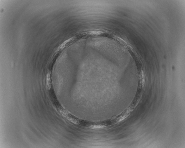 X0000078860360200611271417