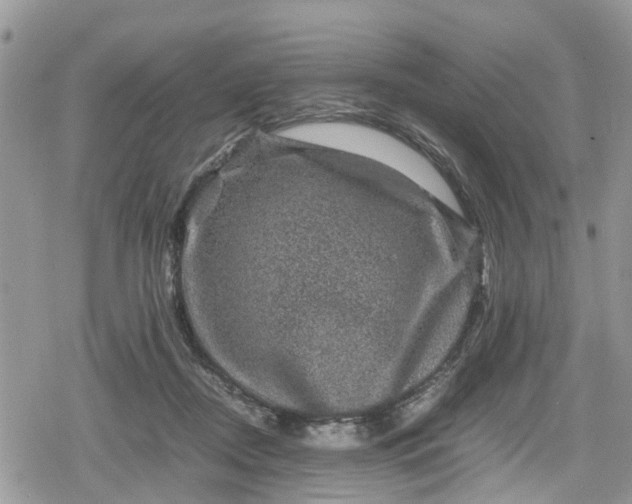 X0000078860362200611271417