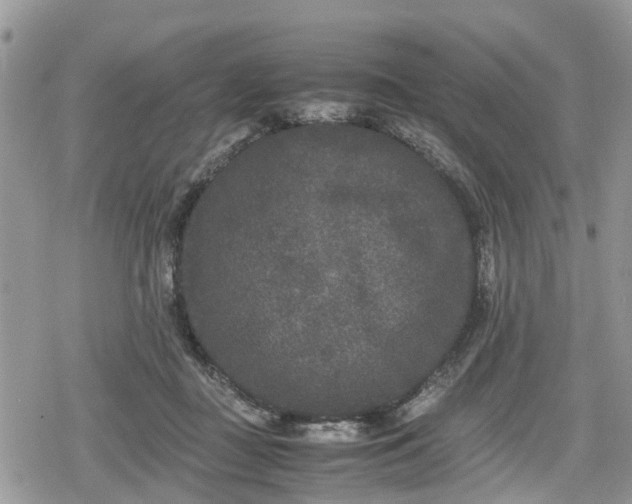 X0000078860363200611271417