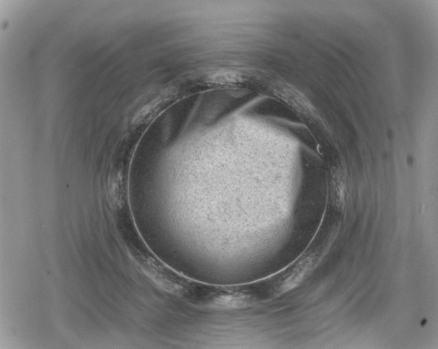 X0000078860364200611271417