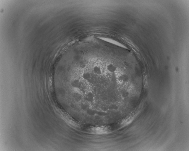 X0000078860365200611271418