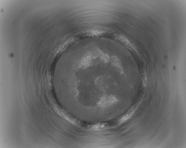 X0000078860366200611271418