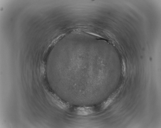 X0000078860367200611271418