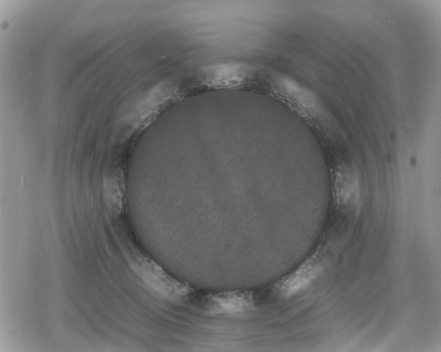 X0000078860370200611271418