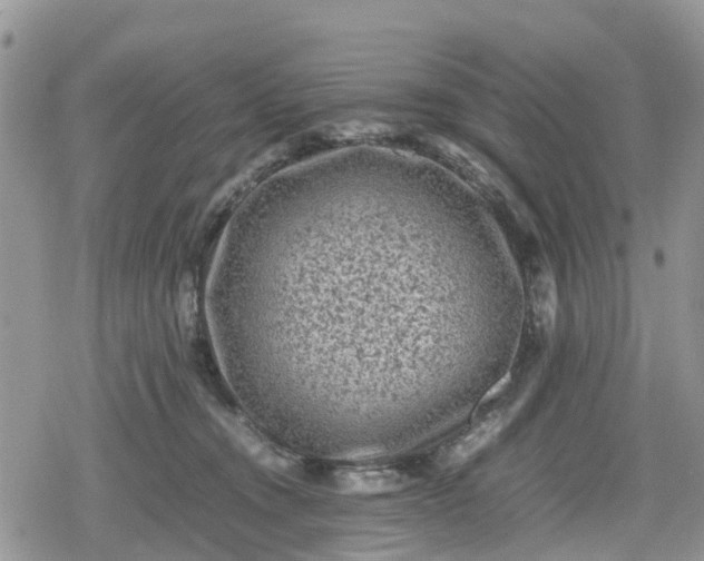 X0000078860372200611271418