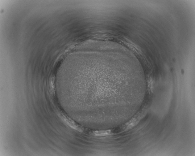 X0000078860373200611271418