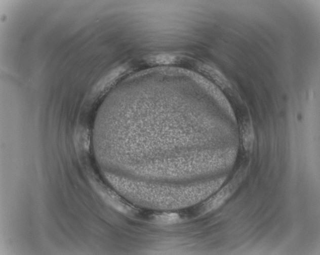 X0000078860374200611271418