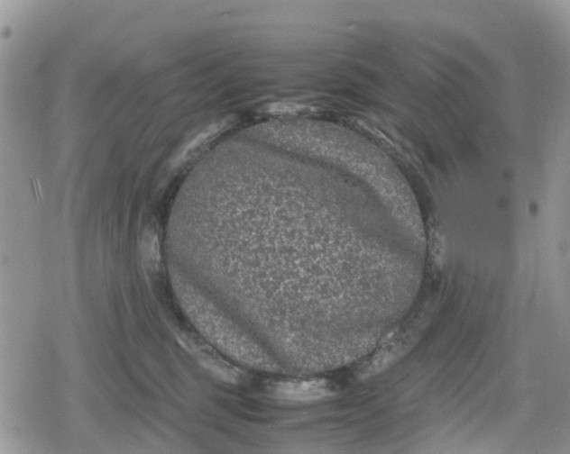 X0000078860375200611271418