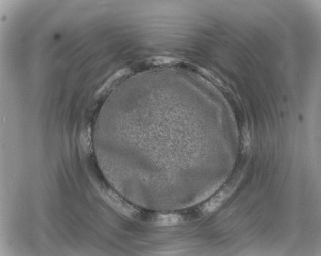 X0000078860376200611271418