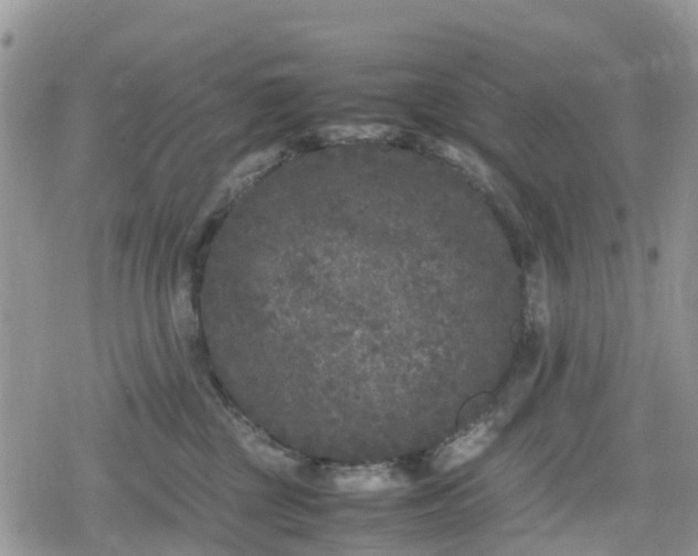 X0000078860377200611271418