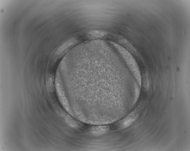 X0000078860378200611271418