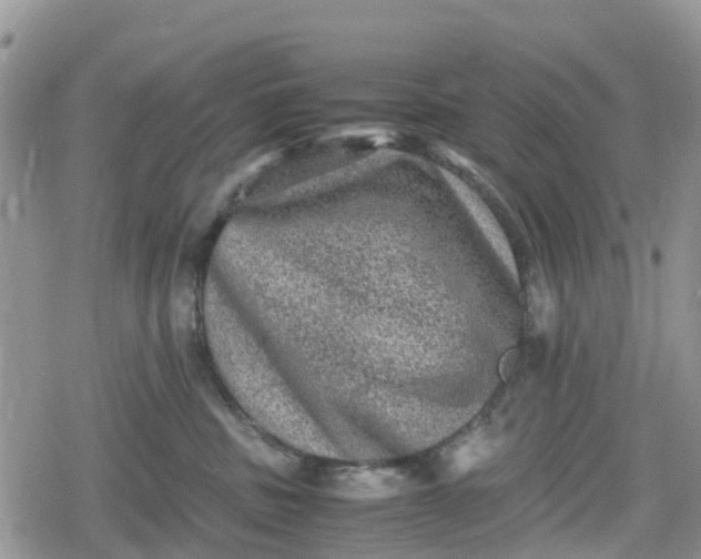 X0000078860379200611271418