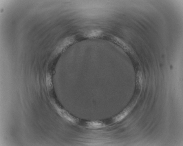 X0000078860380200611271418