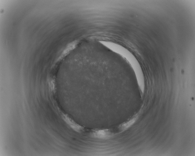 X0000078860382200611271418