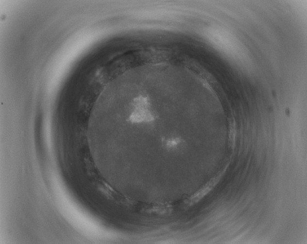 X0000078860383200611271418