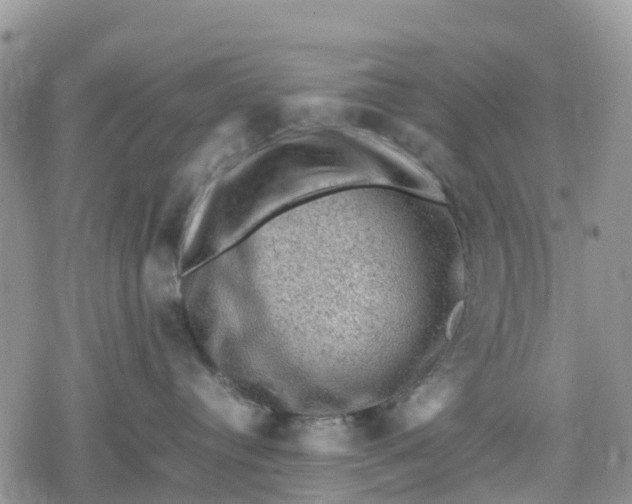 X0000078860384200611271418