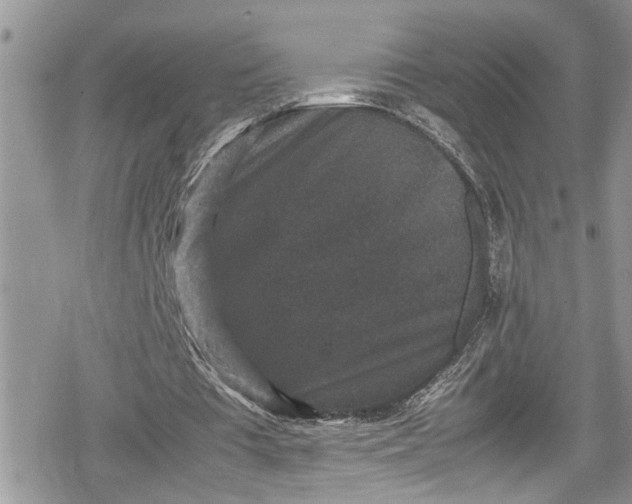 X0000078860385200611271417