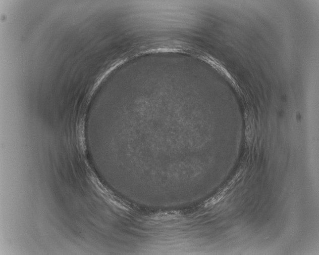 X0000078860386200611271417