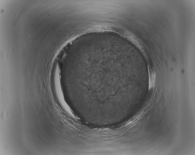 X0000078860387200611271417