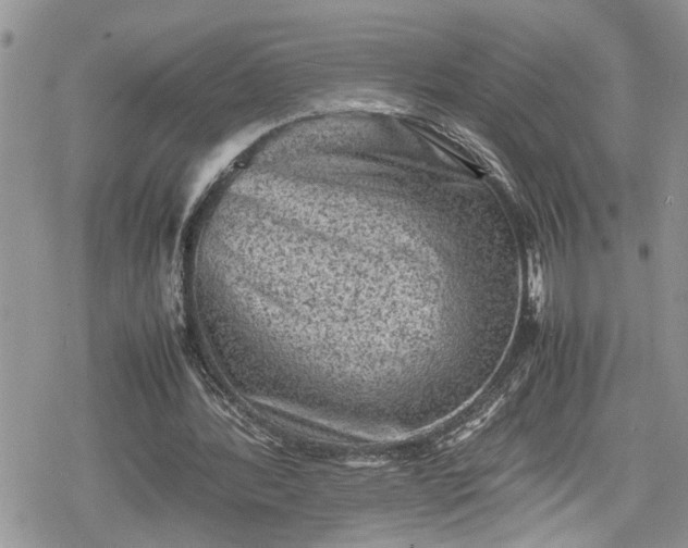 X0000078860388200611271417