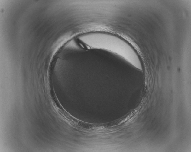 X0000078860391200611271417