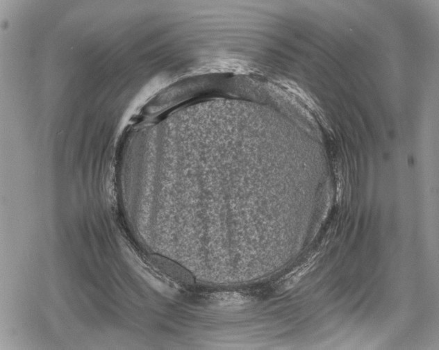 X0000078860392200611271417