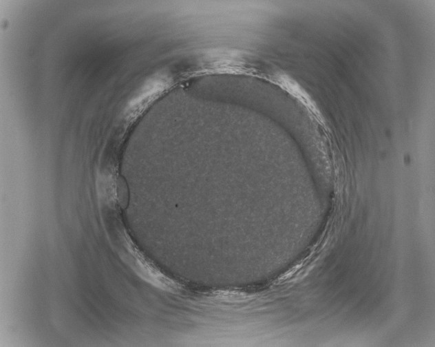 X0000078860393200611271417