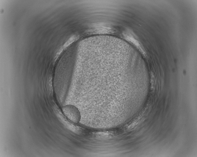 X0000078860394200611271417