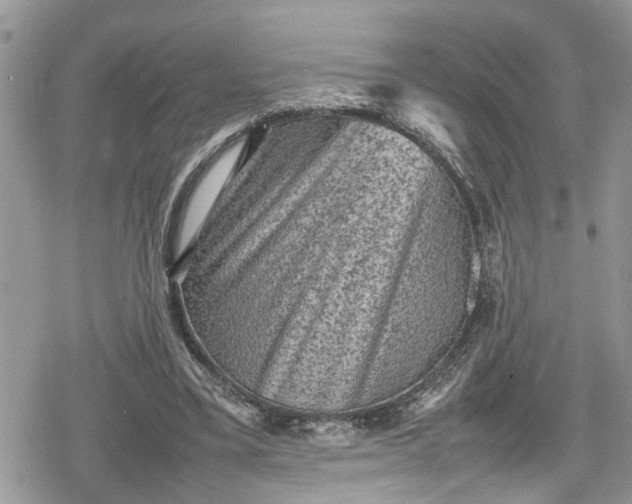 X0000078860395200611271417