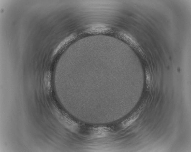 X0000078860396200611271417