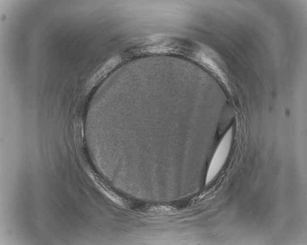 X0000078860397200611271417