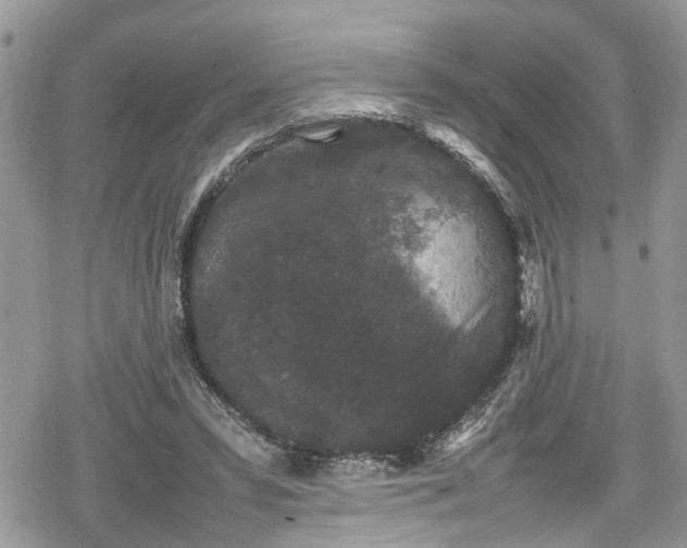 X0000078860399200611271417