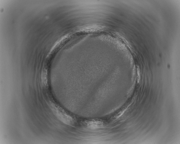 X0000078860400200611271417