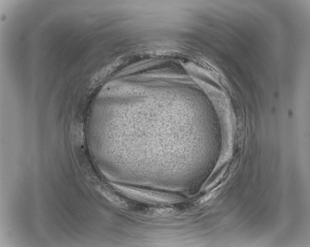 X0000078860401200611271417