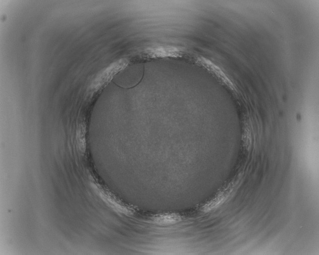 X0000078860402200611271417