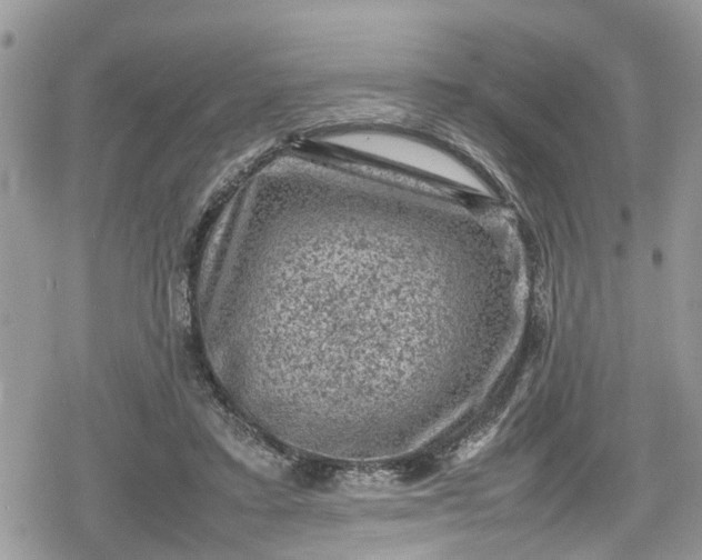 X0000078860403200611271417