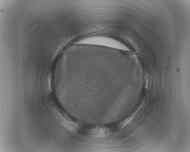 X0000078860404200611271417