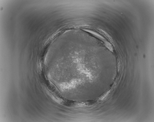 X0000078860405200611271417