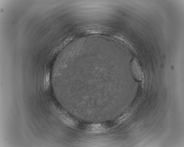 X0000078860406200611271417