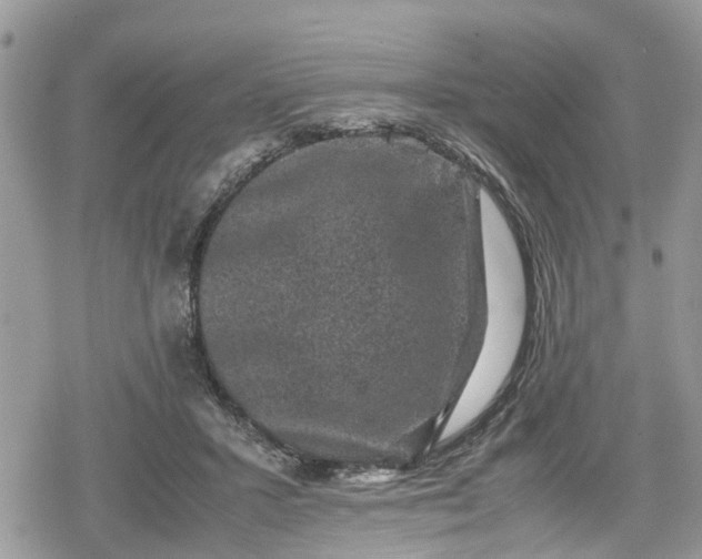 X0000078860407200611271417