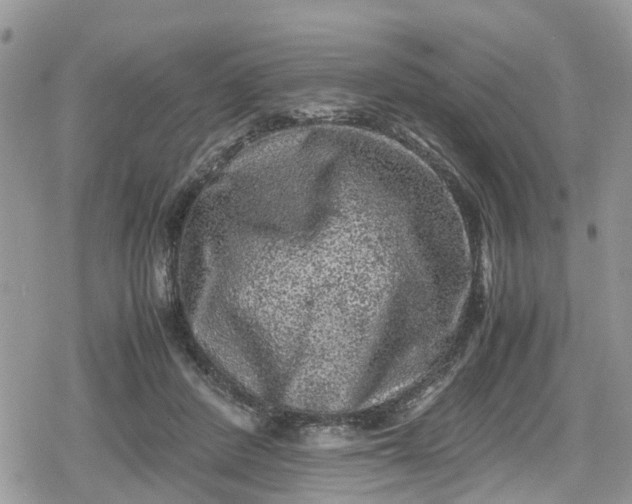 X0000078860408200611271417