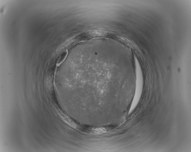 X0000078860409200611271417