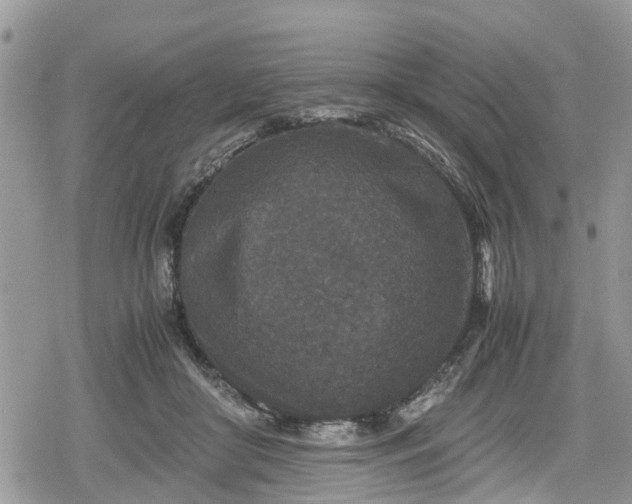 X0000078860410200611271417