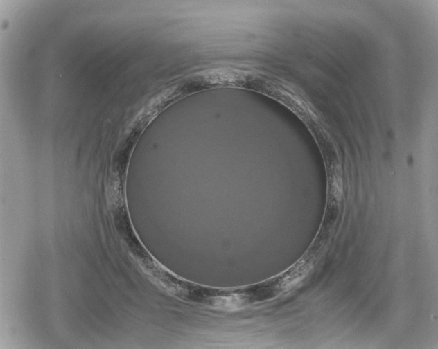 X0000078860411200611271417