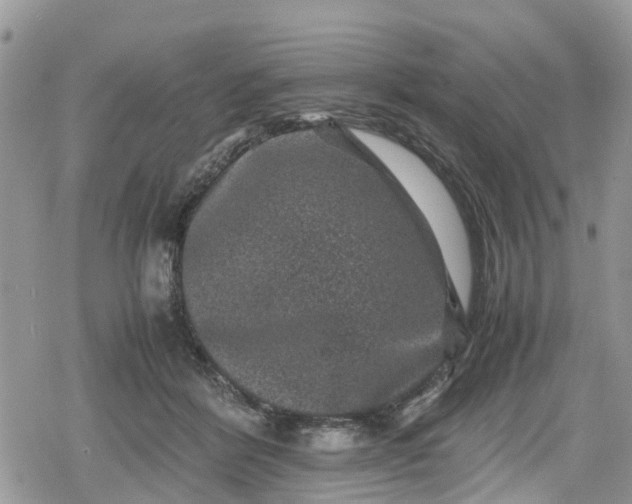 X0000078860412200611271417