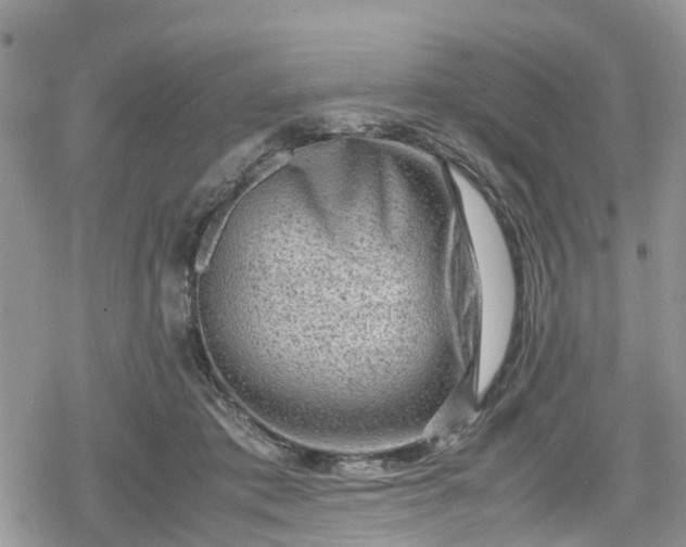 X0000078860413200611271417