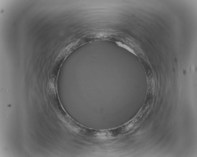 X0000078860415200611271417