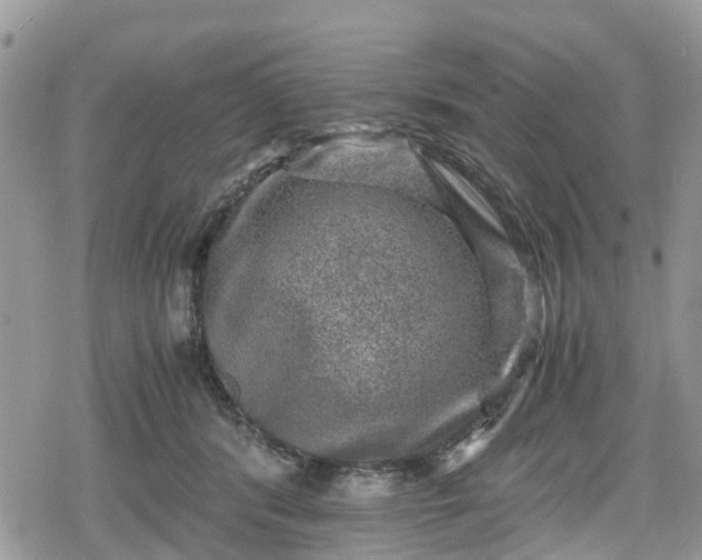 X0000078860416200611271417