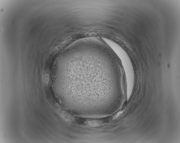 X0000078860417200611271417