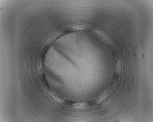 X0000078860418200611271416